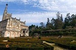 An adventure through the Bussaco National Forest - Coimbra