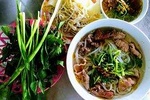 Hoi An city and Food tour 