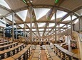 half day tour to The Bibliotheca Alexandrina (Library of Alexandria)
