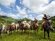 Horseback, Zipline and Rappel Combo Tour Jaco