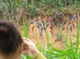 Tambopata All In One