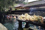 Bali Full Day Holy Water Tour