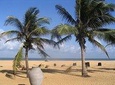 Shore Excursion from Colombo port to Negombo Beach & back for 7 to12 People