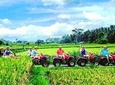 ATV Quad Bike from Bali with Lunch and Return Transport