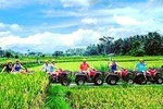 ATV Quad Bike from Bali with Lunch and Return Transport