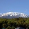 13 Days Adventure in Tanzania - Trekking and Wildlife Safari
