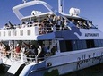 Robben Island Ticket, Kirstenbosch & South African Wine Tasting Small Group Tour