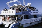Robben Island Ticket, Kirstenbosch & South African Wine Tasting Small Group Tour