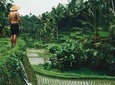 Private ubud Village & Batur Volcano view sightseeing day tour