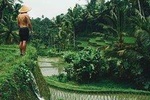 Private ubud Village & Batur Volcano view sightseeing day tour