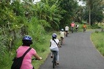 Bali Cycling Tour include home made lunch