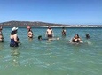 2Day West Coast Adventure