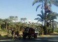 Egypt countryside rural life experience day tour