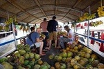 1 Day Cai Be Floating and Biking and Cooking Class