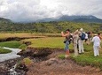 Arusha National Park Walking and Game drive Day Tour.