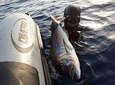 Spearfishing in Chania, Crete (price is per group)