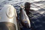 Spearfishing in Chania, Crete (price is per group)