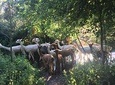 2-Hour Alpaca Farm Experience in Kenilworth