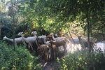 2-Hour Alpaca Farm Experience in Kenilworth