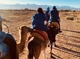 Atlas Mountains, Imlil, 4 valleys and Camel Ride from Marrakech