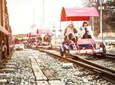 ❃ (Free meal !!) Nami Island & Garden of Morning Calm & Gangchon Railbike Tour