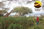 Naivasha Day Trip