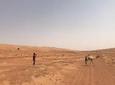 Day Trip To Wahiba Sands & Wadi Bani Khalid (Desert Safari)