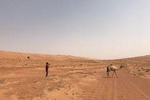 Day Trip To Wahiba Sands & Wadi Bani Khalid (Desert Safari)