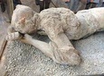 Skip the Line Private Pompeii Guided Tour