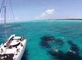 Top Tour Sail To Isla Mujeres By Catamaran Buffet And Drinks Included