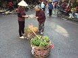 Early Morning Visit Hanoi' Quang Ba Flower Market (Private Tour)