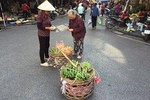 Early Morning Visit Hanoi' Quang Ba Flower Market (Private Tour)