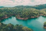 7 days Pangani beach and Magoroto forest estate.