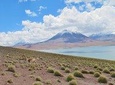 Piedras Rojas Tour