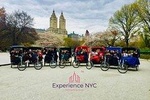 Central Park Private Pedicab Tour