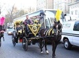 Central Park Private Horse Carriage Tour in NYC