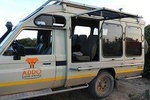 Addo Elephant Full Day Safari with a Traditional South African Braai (BBQ) Lunch