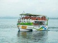 Whales and Dolphins Watching-Luxury Super Grade Cruiser