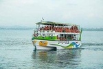 Whales and Dolphins Watching-Luxury Super Grade Cruiser