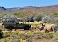 Private return transfers from Cape Town to Sanbona Wildlife Reserve