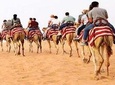Morning Camel Trekking Safari Dubai ( with refreshment )