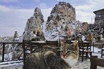 Day Trip to Cappadocia from Istanbul by Plane