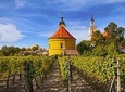 Small Carpathian Wine Tour
