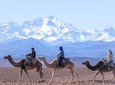 Day trip to the Atlas Mountains and Berber villages from Marrakech,