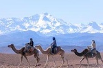 Day trip to the Atlas Mountains and Berber villages from Marrakech,