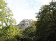 Tour to Sintra, Pena Palace and Moorish Castle