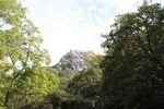 Tour to Sintra, Pena Palace and Moorish Castle