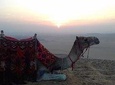  Giza Pyramids sunrise & Sphinx with Camle Riding 
