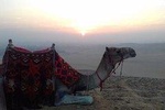  Giza Pyramids sunrise & Sphinx with Camle Riding 
