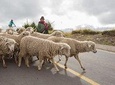 3-day Bike&Hike - Cotopaxi-Quilotoa-Chimborazo: The heart of the Andes 